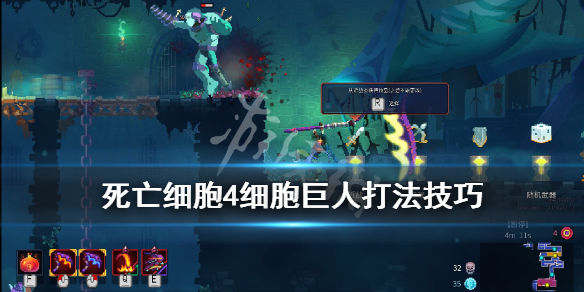 死亡细胞4细胞巨人怎么打（死亡细胞4细胞打法）