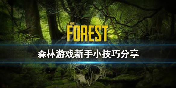 森林游戏新手有什么技巧（森林游戏新手怎么玩）