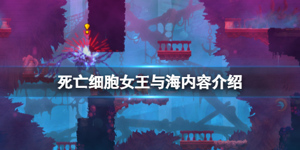 死亡细胞dlc女王与海有什么内容（死亡细胞国王的婚纱照）