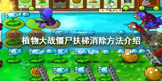 植物大战僵尸梯子会消失吗 植物大战僵尸梯子会自动消失吗