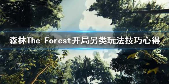 森林开局怎么玩（森林游戏开局怎么玩）