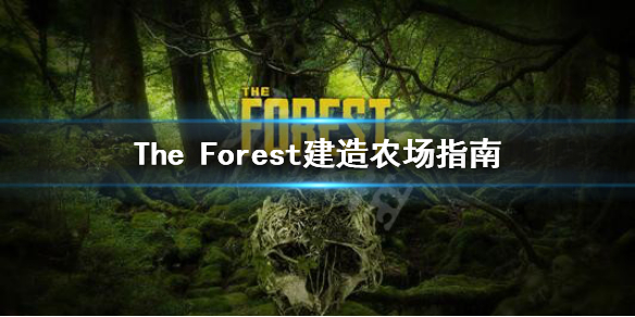 森林农场怎么建造（森林农场怎么建造视频）