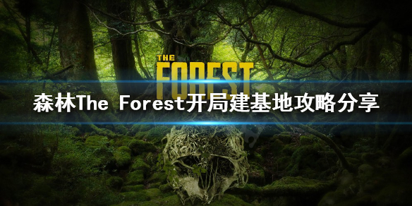 森林如何选择基地位置 森林如何选择基地位置呢