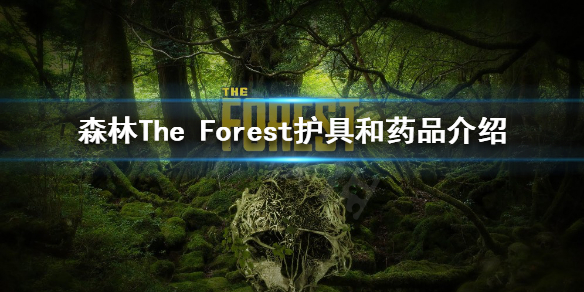 森林有哪些护具和药品（森林护具制作表）