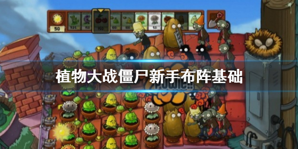 植物大战僵尸新手怎么布阵 植物大战僵尸新手怎么布阵教程