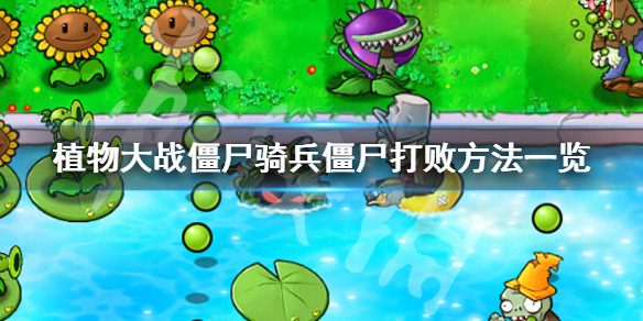 植物大战僵尸骑兵僵尸怎么对付 植物大战僵尸骑兵僵尸怎么对付的