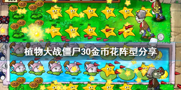 植物大战僵尸刷金币花园怎么建 植物大战僵尸的金币怎么花