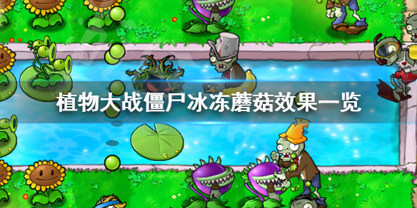 植物大战僵尸冰冻蘑菇有什么效果 植物大战僵尸冰冻菇有什么用