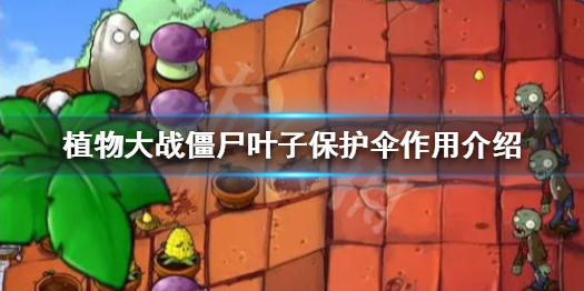 植物大战僵尸叶子保护伞什么用（植物大战僵尸叶子保护伞什么用啊）