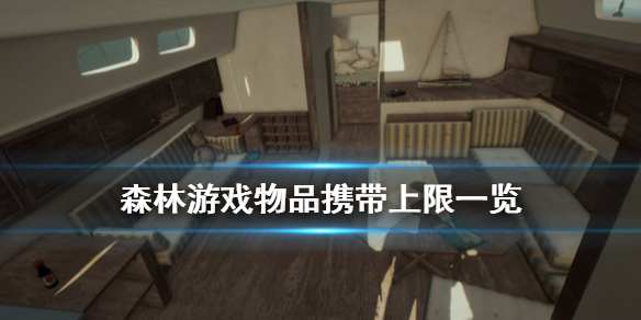 森林物品携带上限是多少 森林 物品