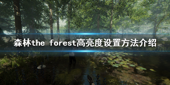 森林游戏亮度怎么提高 森林游戏画面调亮