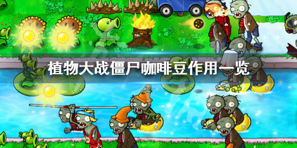 植物大战僵尸咖啡豆怎么用 植物大战图鉴大全图片
