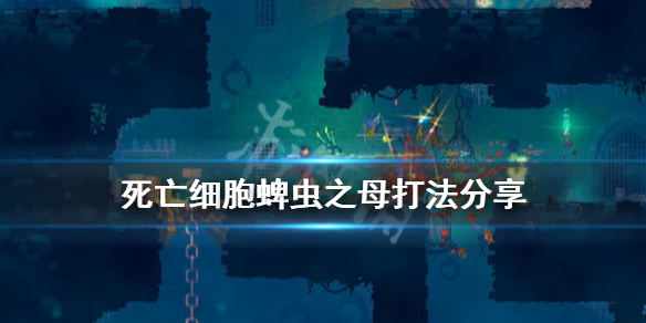 死亡细胞蜱虫之母怎么打（死亡细胞蜱虫之母路线手机版）