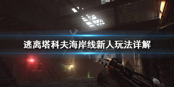逃离塔科夫海岸线地图怎么玩 逃离塔科夫海岸线地图中文版