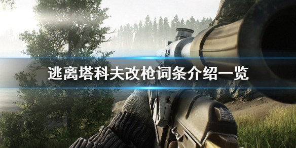 逃离塔科夫如何改枪 逃离塔科夫改枪界面怎么打开