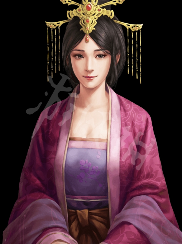 三国志14步练师立绘好看吗（三国志14训练）