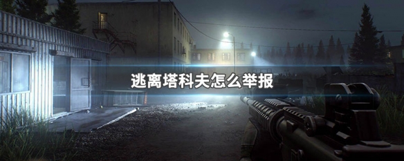 逃离塔科夫怎么举报 逃离塔科夫举报成功了怎么看