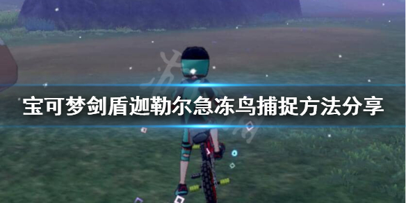 宝可梦剑盾急冻鸟在哪抓 神奇宝贝剑盾急冻鸟在哪