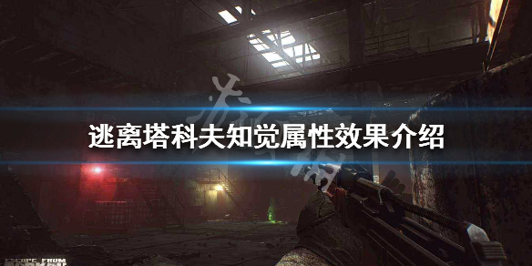 逃离塔科夫知觉属性有什么用 逃离塔科夫智力有什么用