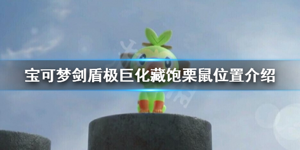 宝可梦剑盾极巨化藏饱栗鼠在哪 宝可梦剑盾藏饱栗鼠配招