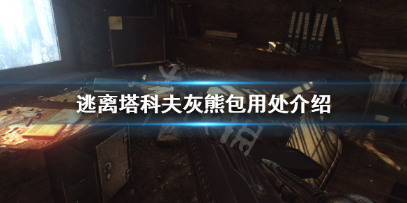 逃离塔科夫灰熊包有什么用（逃离塔科夫灰熊包原型）