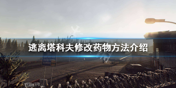 逃离塔科夫怎么修改药物（逃离塔科夫怎么用药）