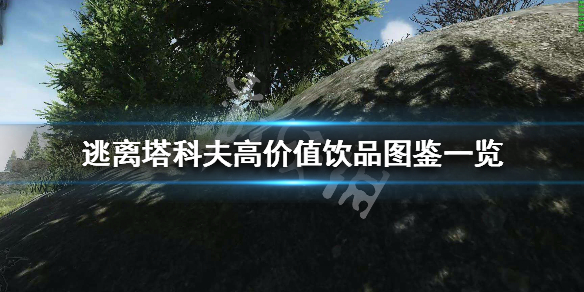 逃离塔科夫高价值饮品有哪些（逃离塔科夫喝的）
