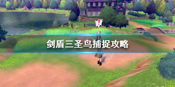 剑盾三圣鸟在哪抓（剑盾三圣鸟哪里抓）