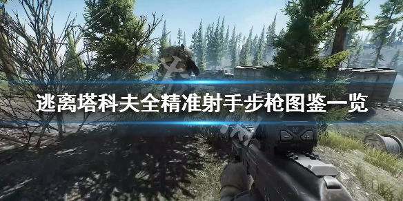 逃离塔科夫全精准射手步枪属性详解 逃离塔科夫最强精确射手步枪