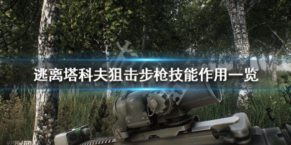 逃离塔科夫狙击步枪技能效果是什么 逃离塔科夫提升狙击步枪操作技能