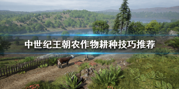 中世纪王朝怎么耕种 中世纪王朝怎么耕种农作物