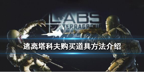 逃离塔科夫道具怎么买（逃离塔科夫道具用途）