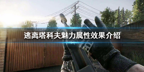 逃离塔科夫魅力属性有什么作用（逃离塔科夫魅力技能有什么用）