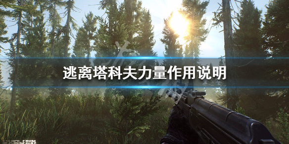 逃离塔科夫力量效果介绍 逃离塔科夫力量满级需要多少经验