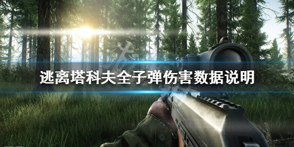 逃离塔科夫全类型子弹伤害怎么样（逃离塔科夫里面子弹多少钱一枚）