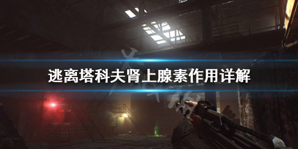 逃离塔科夫肾上腺素好用吗（逃离塔科夫激素）