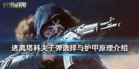 逃离塔科夫子弹选择与护甲原理介绍 逃离塔科夫 子弹