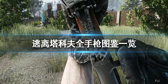 逃离塔科夫全手枪图鉴一览 逃离塔科夫枪械图鉴