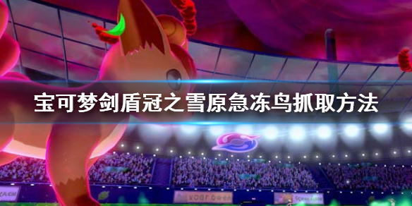 宝可梦剑盾冠之雪原急冻鸟怎么抓（宝可梦剑盾冠之雪原鸟宝可梦传说）