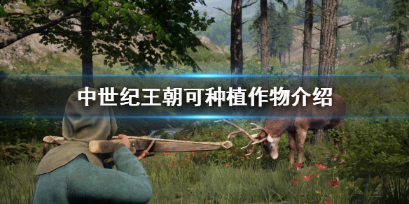 中世纪王朝农作物有哪些（中世纪王朝农作物有哪些种类）