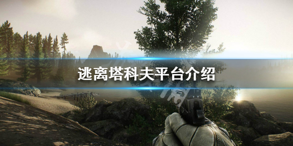 逃离塔科夫在哪个平台 逃离塔科夫在哪个平台发售