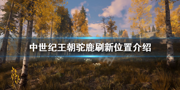 中世纪王朝驼鹿在哪刷（中世纪王朝怎么猎鹿）