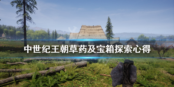 中世纪王朝草药及宝箱探索心得（中世纪王朝药水在哪）