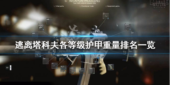 逃离塔科夫各等级护甲重量排名一览（逃离塔科夫护甲耐久机制）