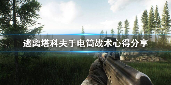 逃离塔科夫手电筒战术是什么（逃离塔科夫手电筒多少钱）