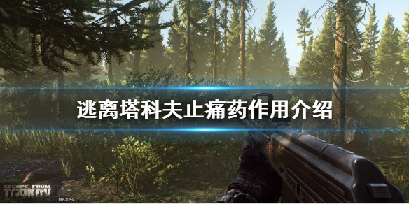 逃离塔科夫止痛药作用介绍（逃离塔科夫止痛药有什么用）