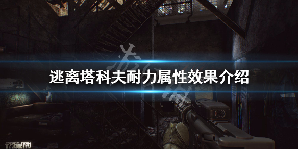 逃离塔科夫耐力属性有什么作用（逃离塔科夫 耐力）