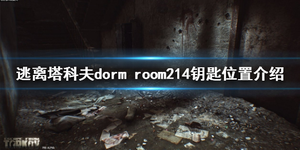 逃离塔科夫dorm 逃离塔科夫东窗事发