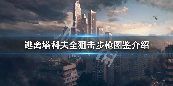 逃离塔科夫全狙击步枪属性详解 逃离塔科夫 狙击