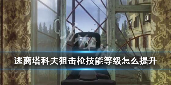 逃离塔科夫狙击枪技能等级怎么提升（逃离塔科夫狙击等级用什么枪）